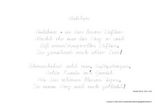 Nachspuren-Veilchen-Seidel.pdf